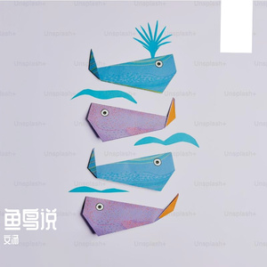 鱼鸟说 伴奏