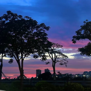 你会从哪片天空忽然地降临