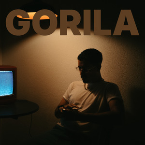 Gorila