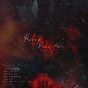 红翅（Burning Butterflies) —— “我们于彼此的目光，无声地燃烧。”