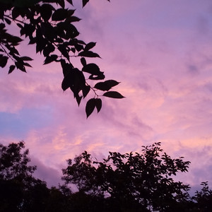 夏の終わりの日に ～高次脳障害の君へ