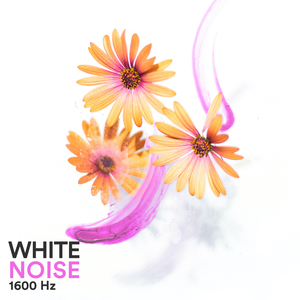 Noise 1.6 kHz