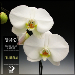 I'll Dream (Original Mix)