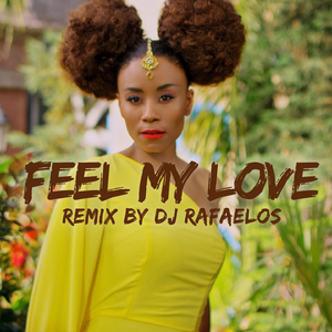 Feel My Love (DJ Rafaelos Remix)