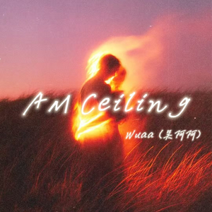 AM Ceiling