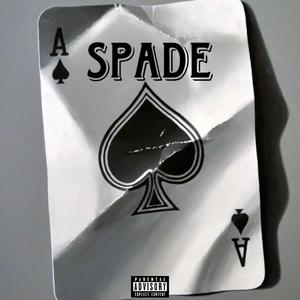 SPADE