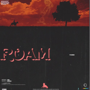 ROAM