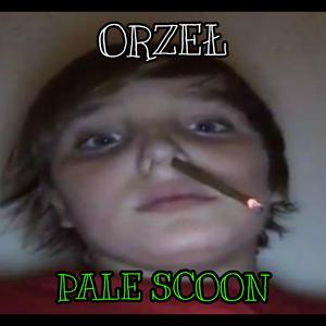 PALE SCOON