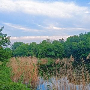 诗和远方（纯音乐）