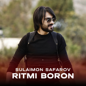 Ritmi Boron