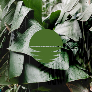 Koh Rong (Loopable Rain)