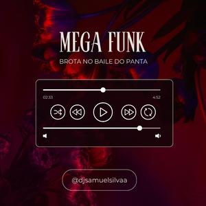 Mega Funk (Brota no baile do panta)