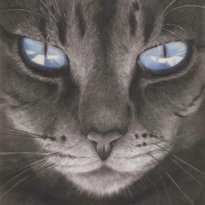 李小璐-鲸落（蘭馬 remix）