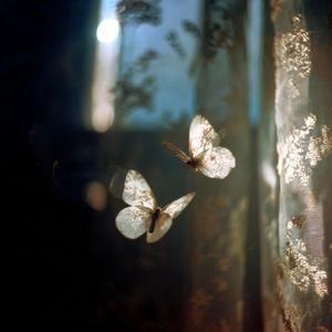 想让喜欢我的人快乐