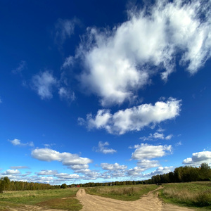 What the Air Remembers (Ambient Version)