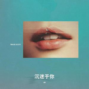 沉迷于你