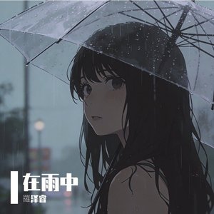 漂泊的雨