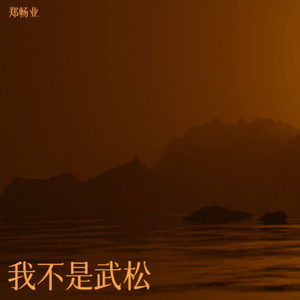 我不是武松