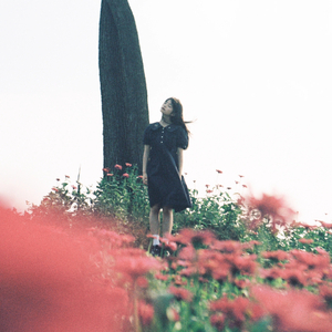 你（风轻轻我听见你声音）