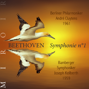 Symphonie n°1, Op. 21:I. Adagio molto — Allegro con brio