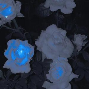 "世界美好与你环环相扣"