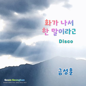 화가 나서 한 말이라고 (디스코랩)