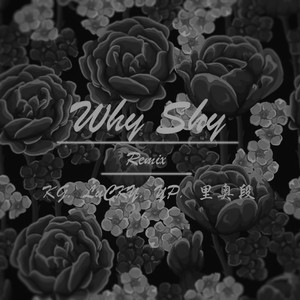 WHY SHY (KG remix)