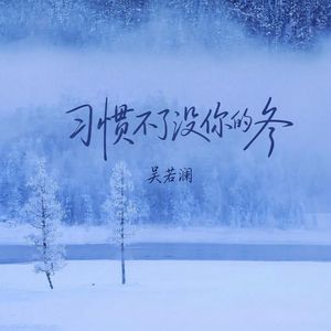 习惯不了没你的冬