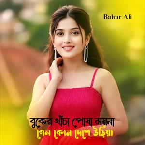 Buker Khachay Posha Moina Geli Kondeshi Uriya