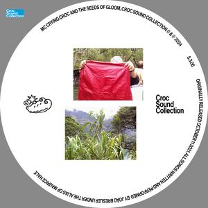 intro to fivedotthreedotzerosix