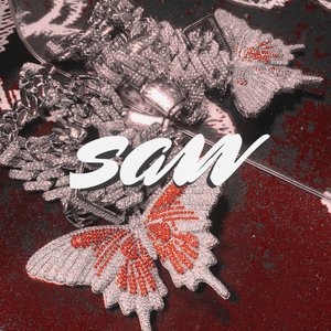 三人成行 SANN