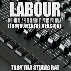 Labour (Originally Performed by Paris Paloma) (Instrumental Version)
