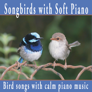 Songbirds