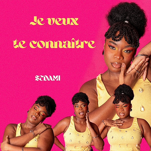 Je veux te connaitre