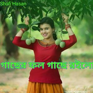 গাছের ফল গাছে রইলো