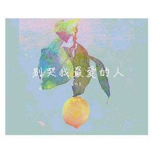 别哭我最爱的人（翻自 水木年华）