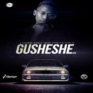 Gusheshe