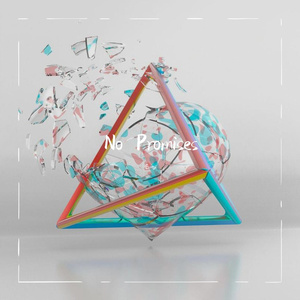 No Promises