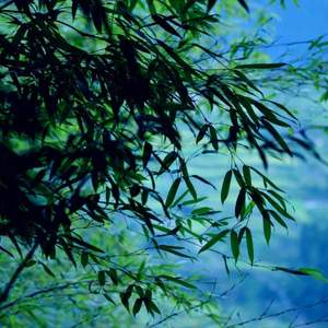 心头雪·纯阳辞