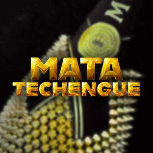 Mata (Techengue)