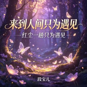来到人间只为遇见(红尘一趟只为遇见)