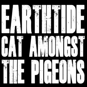 Cat Amongst The Pigeons