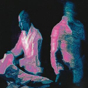 Außenwelt (feat. Martin Oelz)