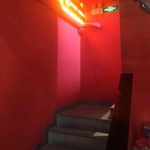 丢了幸福的猪-钱儿翻唱