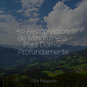 Profundamente Dormido