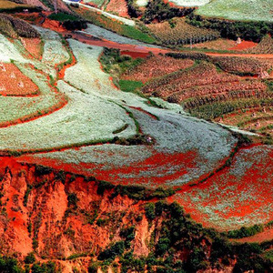 突然觉得好心酸