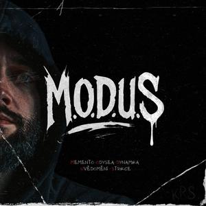 POSLEDNÍ RUNDA (feat. STRAYSIDE)