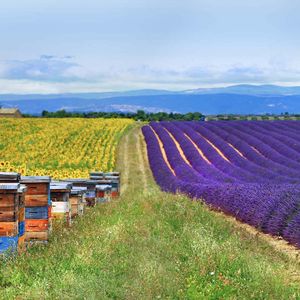 共赴山河万里丶