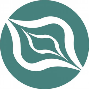 Peace of My Mind (Original Mix)