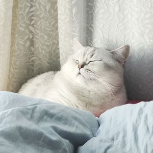 你并不懂我（cover BY2）